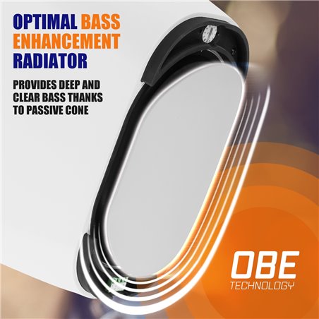 BD65B ALTAVOZ DE PARED INTERIOR/EXTERIOR NEGRO 150W