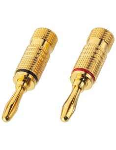BP-100G