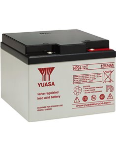 NPA-12/24I
