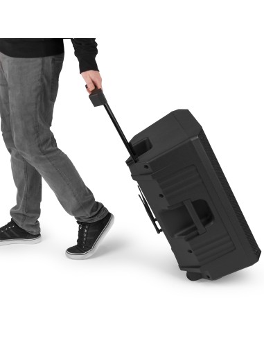 VSA500-BP SISTEMA PORTÁTIL 12" COMBI