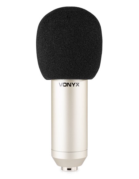 CM400 MICROFONO DE ESTUDIO DE CONDENSADOR PLATA