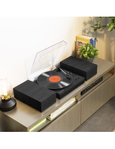 RP165B GIRADISCOS NEGRA GRIS