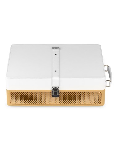 RP119 GIRADISCOS DORADO