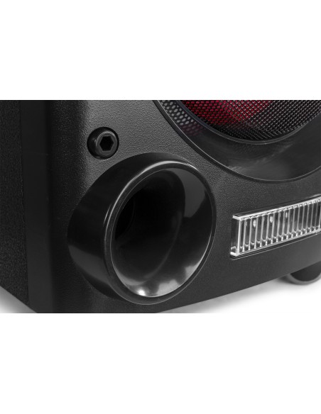 LIVE2104 KARAOKE STATION SOBRE RUEDAS 2X 10”