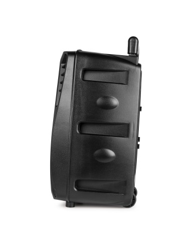 FT8LED-MK2 SISTEMA PORTÁTIL DE SONIDO 8"