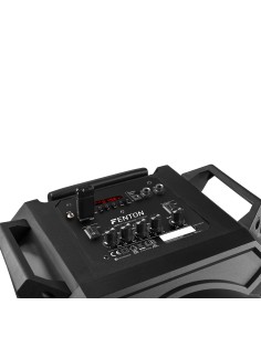 LIVE280 CONJUNTO KARAOKE 2X 8”