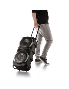 LIVE280 CONJUNTO KARAOKE 2X 8”