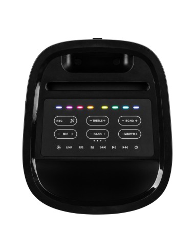 PULSE65 PARTY SPEAKER IN/OUTDOOR