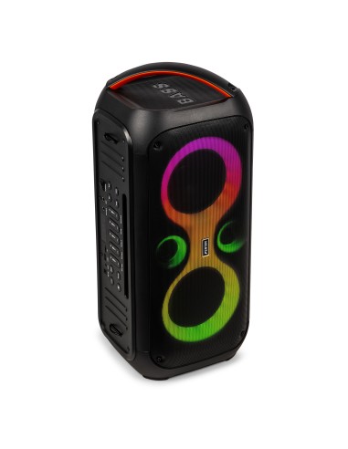 CORE120 PARTY SPEAKER