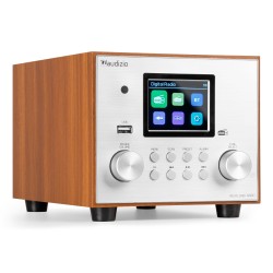 VIESTE RADIO DAB+ CON SUBWOOFER PLATA