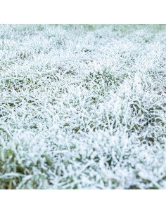 RADIO POR INTERNET CANZO CON SINTONIZADOR DAB+/FM GRIS OSCURO