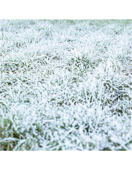 RAGE 1000 MAQUINA DE NIEVE CON MANDO A DISTANCIA