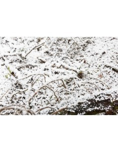 RADIO POR INTERNET CANZO CON SINTONIZADOR DAB+/FM NOGAL