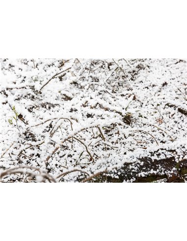 SNOW5000 MAQUINA DE NIEVE DE ALTO VOLUMEN