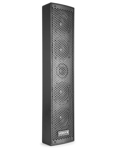 VX1200 SISTEMA 2 VIAS FULL RANGE