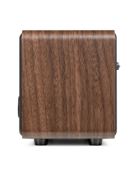 FOZA RADIO WIFI INTERNET ESTÉREO CON DAB + MADERA