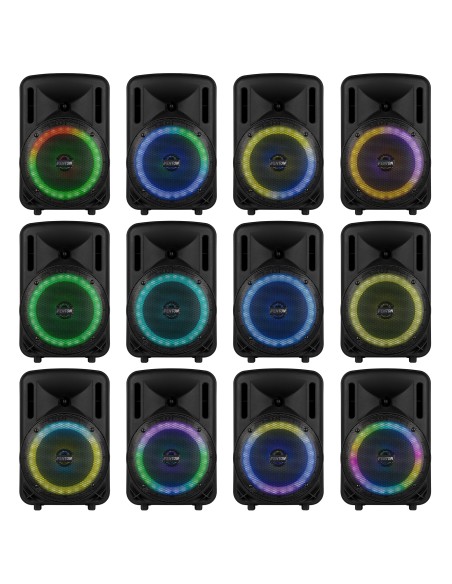 InicioSonidoSistemas PA portatiles Power Dynamics FT08LED MK2 BAFLE ACTIVO 8" 300W vista 5