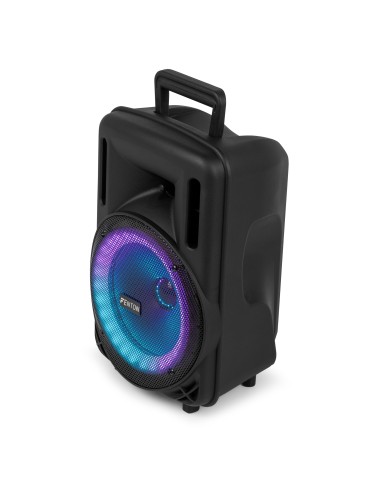 InicioSonidoSistemas PA portatiles Power Dynamics FT08LED MK2 BAFLE ACTIVO 8" 300W vista 6