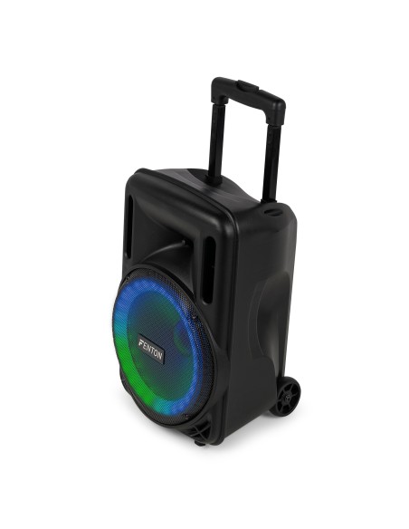 FT10LED MK2 BAFLE ACTIVO 10" 450W