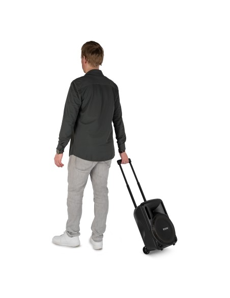 FT10LED MK2 BAFLE ACTIVO 10" 450W