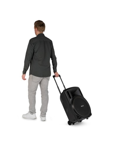 FT15LED MK2 BAFLE ACTIVO 15" 800W