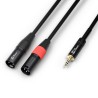 CX70-6 CABLE 2X XLR MACHO - 3.5MM ESTEREO 6.0M