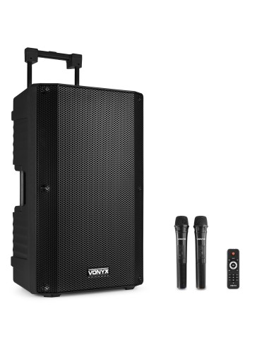 VSA700 SISTEMA PORTÁTIL 15"