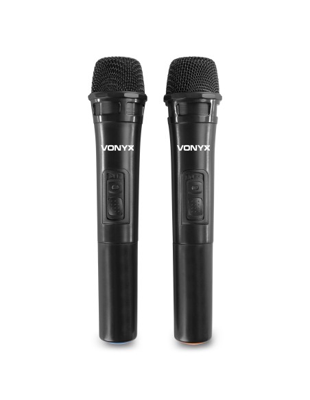 VSA500 SISTEMA PORTÁTIL 12"