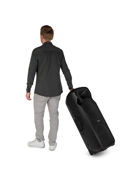 FT212LED MK2 BAFLE ACTIVO DOBLE 12" 1400W