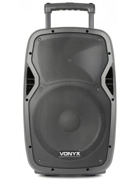 AP1200PA BAFLE PORTATIL 12"