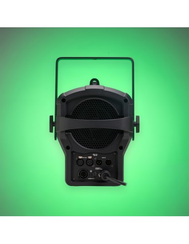 BTM250FC FOCO FRESNEL ZOOM 250W RGBALC