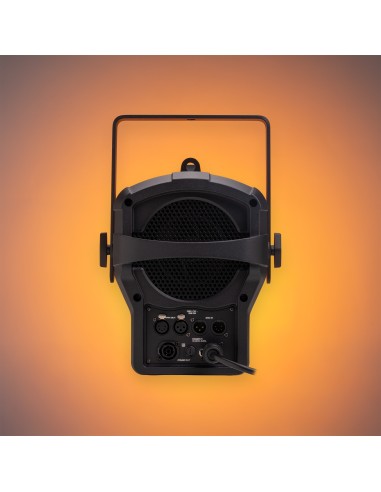 BTM250FC FOCO FRESNEL ZOOM 250W RGBALC