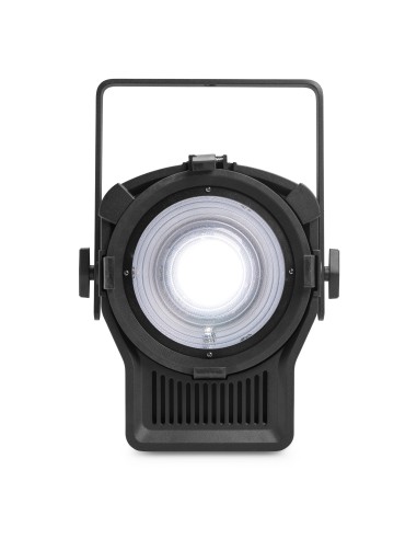 BTM250TW FOCO FRESNEL ZOOM 250W SINTONIZABLE WW/CW