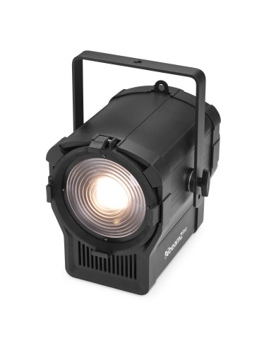 BTM250TW FOCO FRESNEL ZOOM 250W SINTONIZABLE WW/CW