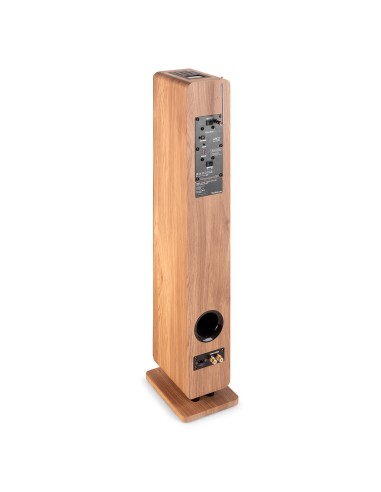 ARCO ALTAVOZ DE TORRE ACTIVA CON DAB MADERA CLARA