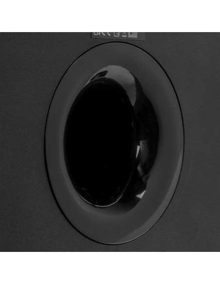 SW65C SUBWOOFER ACTIVO DE 130 W