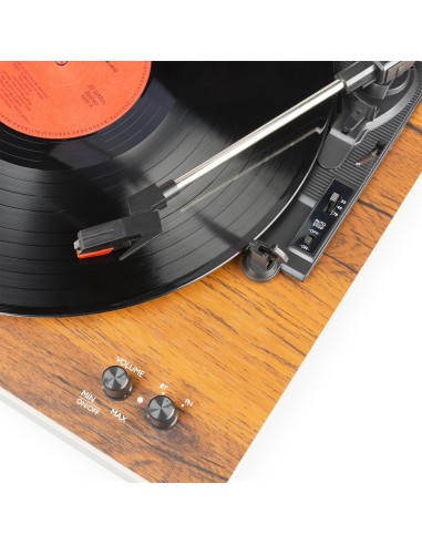 RP165 GIRADISCOS MADERA