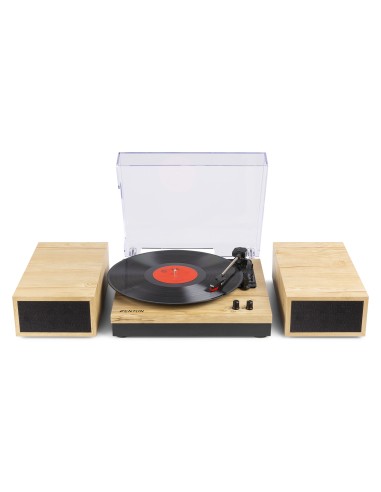 RP165L GIRADISCOS MADERA CLARA