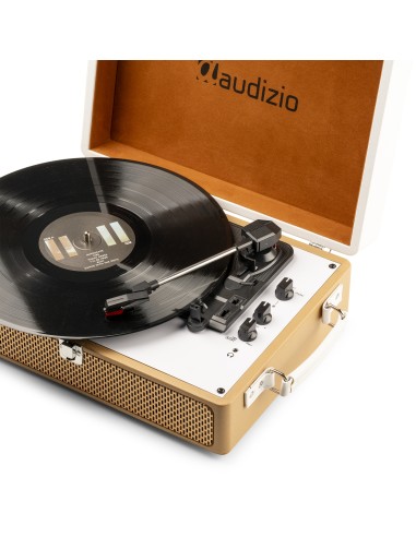 RP119 GIRADISCOS DORADO