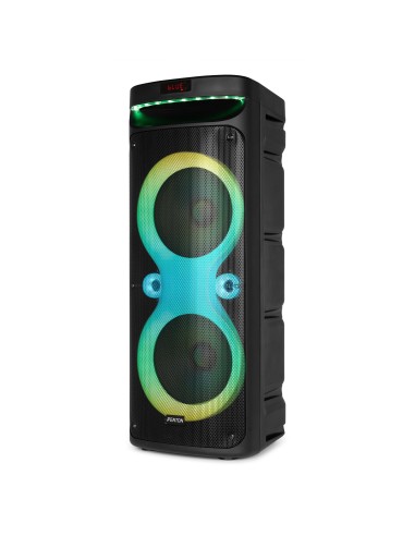 TRACK610 ALTAVOZ PARA FIESTAS CON ESPECTÁCULO DE LUCES LED