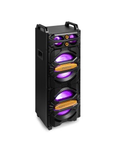 LIVE2102 PARTYSTATION 2X 10" 800W