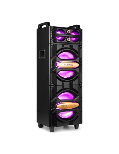 LIVE2102 PARTYSTATION 2X 10" 800W