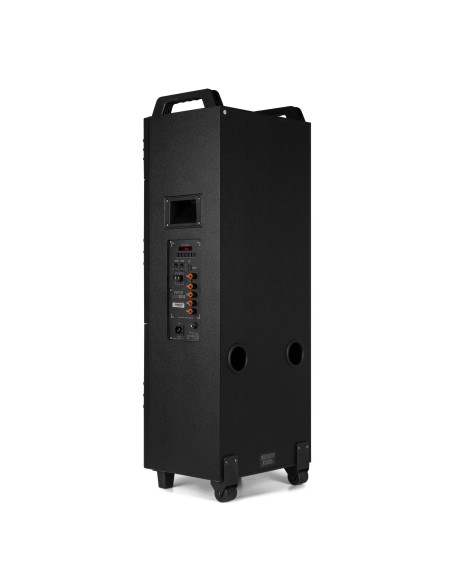 LIVE2102 PARTYSTATION 2X 10" 800W