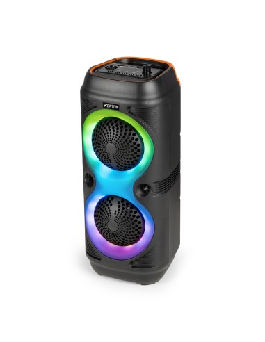 TRACK210 ALTAVOZ PARA FIESTAS CON ESPECTÁCULO DE LUCES LED