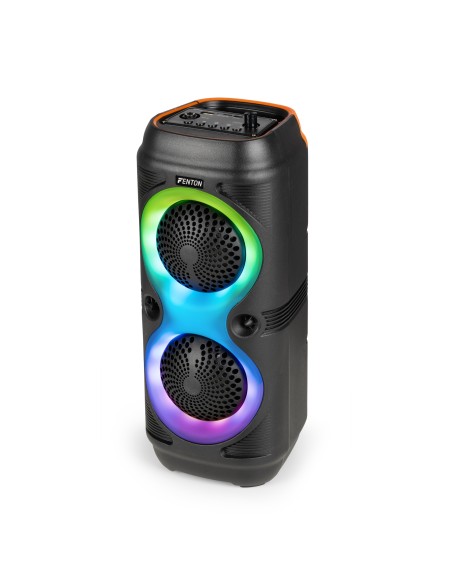 TRACK210 ALTAVOZ PARA FIESTAS CON ESPECTÁCULO DE LUCES LED