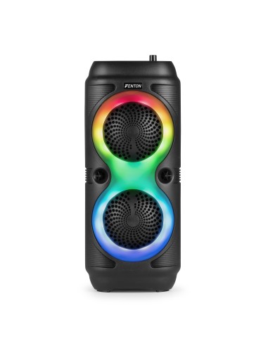 TRACK210 ALTAVOZ PARA FIESTAS CON ESPECTÁCULO DE LUCES LED