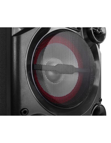 LIVE2104 KARAOKE STATION SOBRE RUEDAS 2X 10”