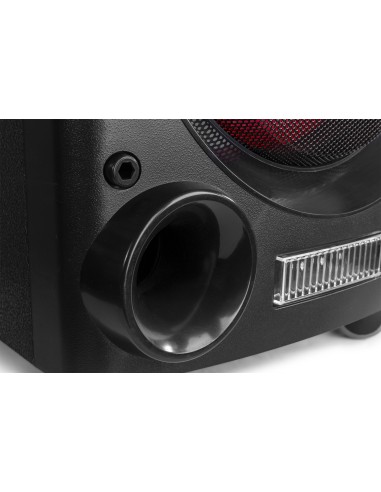 LIVE2104 KARAOKE STATION SOBRE RUEDAS 2X 10”