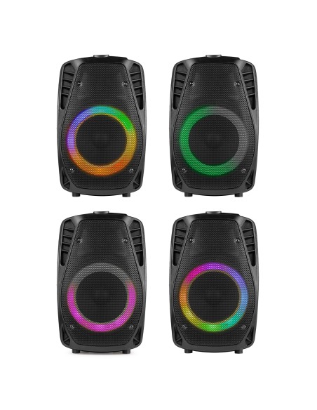 FT8LED-MK2 SISTEMA PORTÁTIL DE SONIDO 8"