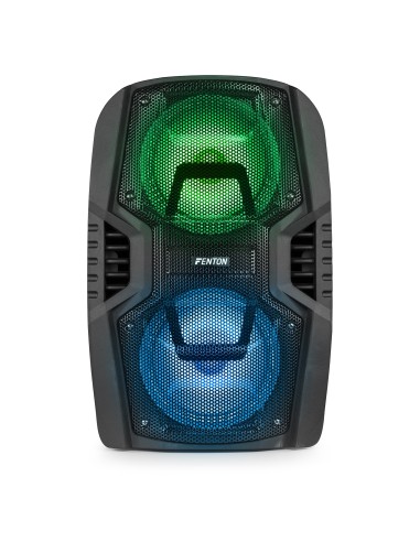 FT208LED SISTEMA PORTÁTIL DE SONIDO 2X 8"